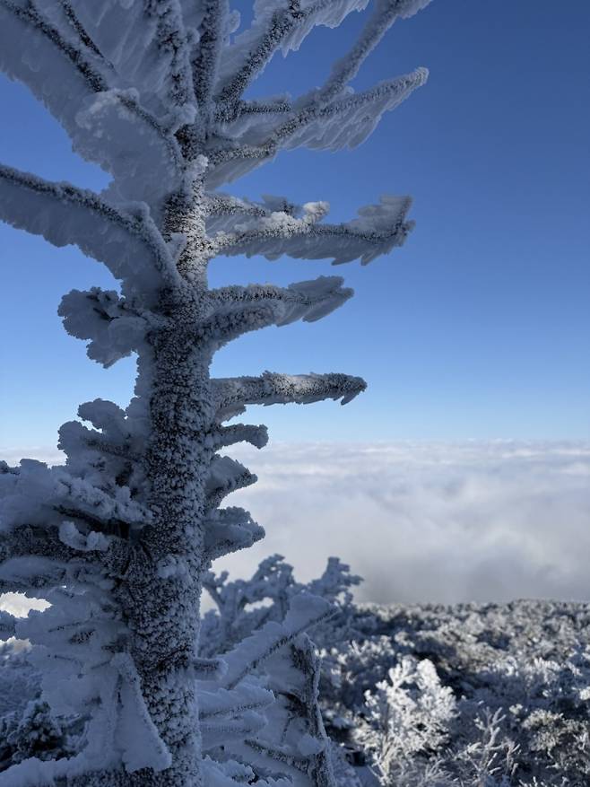 한라산 상고대 모습