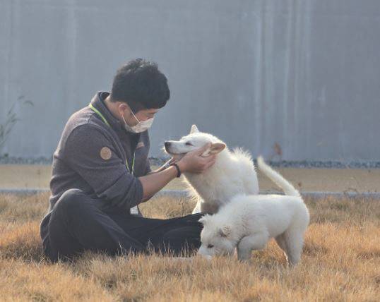 충북 청주시 흥덕구 강내면에 있는 반려동물보호센터 운동장에서 자원봉사자가 유기된 강아지들을 돌보고 있다. 청주시 제공