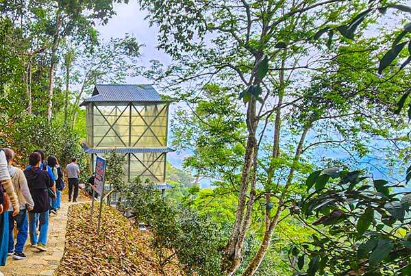 미라가 된 후 순례 행렬은 더 많아졌다.