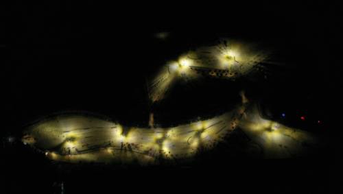 ◇화천지역 파크골프장에 조명시설이 대폭 확대 설치된다. 사진은 야간 운영 중인 하남면 거례리 산천어 파크골프장 제1구장 전경. 화천군 제공