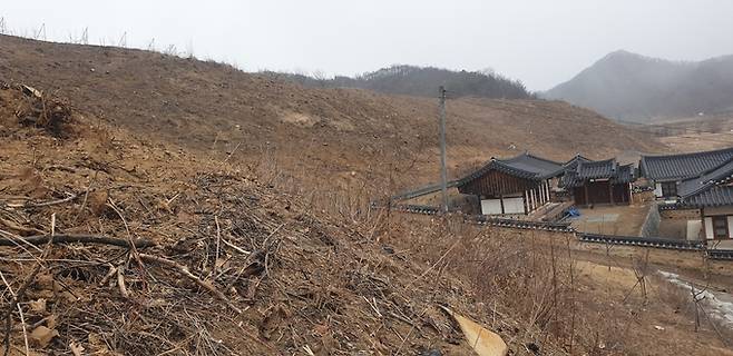 ▲ 울창한 숲을 자랑하던 청송군 파천면의 한 야산이 지난해 봄 발생한 산불로 소실되는 막대한 피해를 입었다. 25일 현재 화재로 타버린 피해목을 벌채한 야산은 맨살을 드러낸 민둥산으로 변해버렸다. 서충환 기자