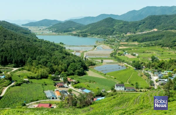 인구 소멸 위기를 겪고 있는 농어촌 지역 10개 군 주민을 대상으로 농어촌 기본소득이 처음 지급됐다. ⓒ베이비뉴스