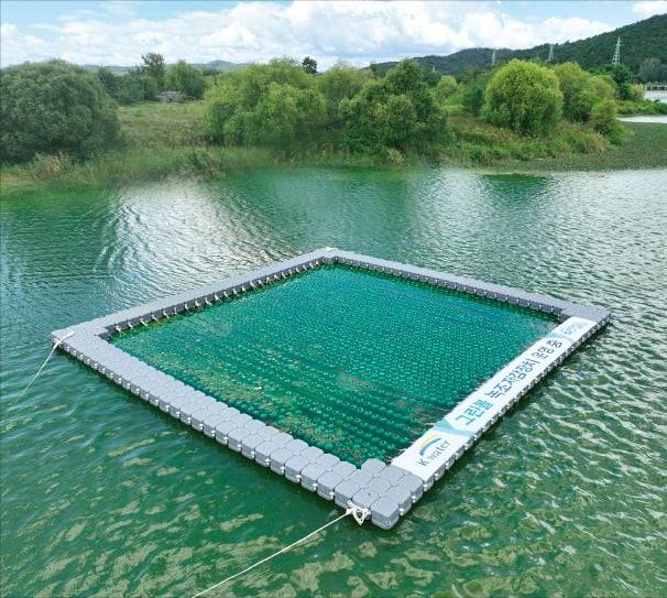 강 수면 위에 설치된 광촉매 기반 수질정화 장치 ‘그린볼’. /월드워터 제공