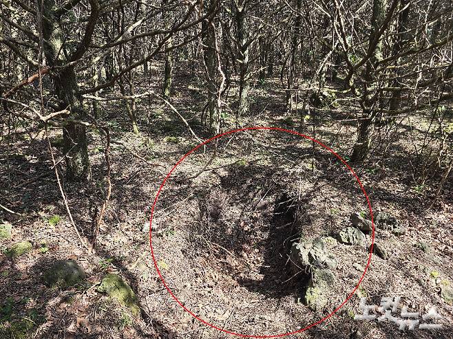 지난 22일 서귀포시 람사르습지 물영아리오름 일대가 크게 파헤쳐진 모습. 이창준 기자