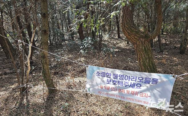 지난 22일 서귀포시 람사르습지 물영아리오름 일대에 걸린 현수막. 이창준 기자