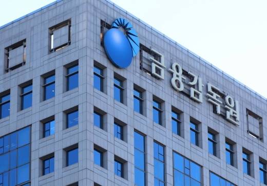 (사진=금융감독원)