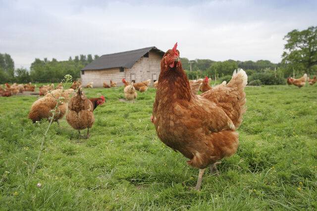 사진은 기사의 특정 사실과 관련 없음. 클립아트코리아