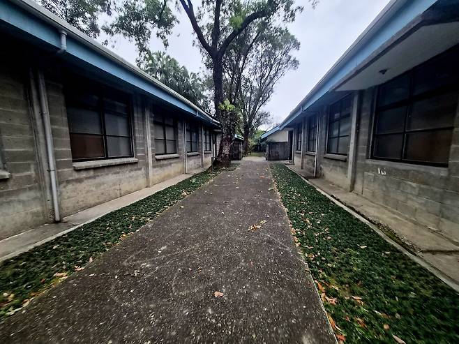 길은 가운데를 비워 둔 채 양쪽의 방들을 연결한다. 창은 닫혀 있지만 빛의 방향은 남아 있고, 나무 한 그루가 시간의 중심처럼 서 있다. 사람들의 발걸음이 사라진 자리에서 공간은 지나간 기억만을 조용히 유지한다. / 이상헌 기자