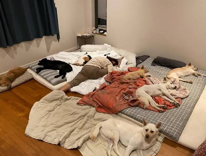 이효리 인스타그램