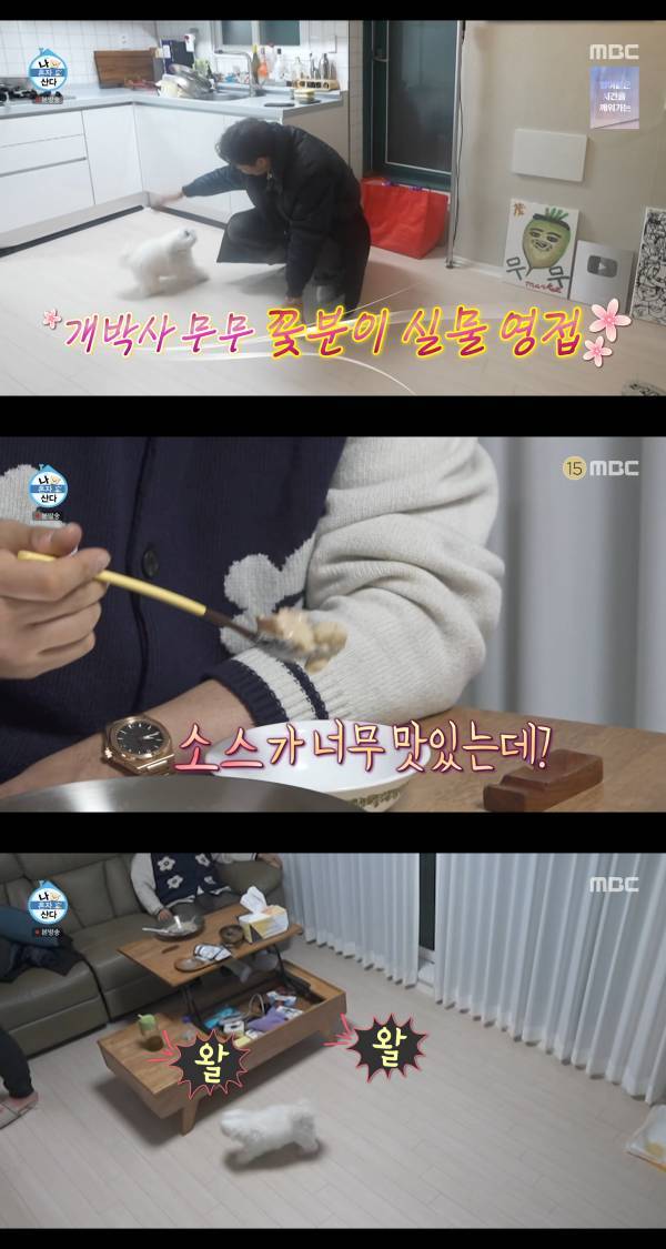 ⓒMBC '나 혼자 산다'