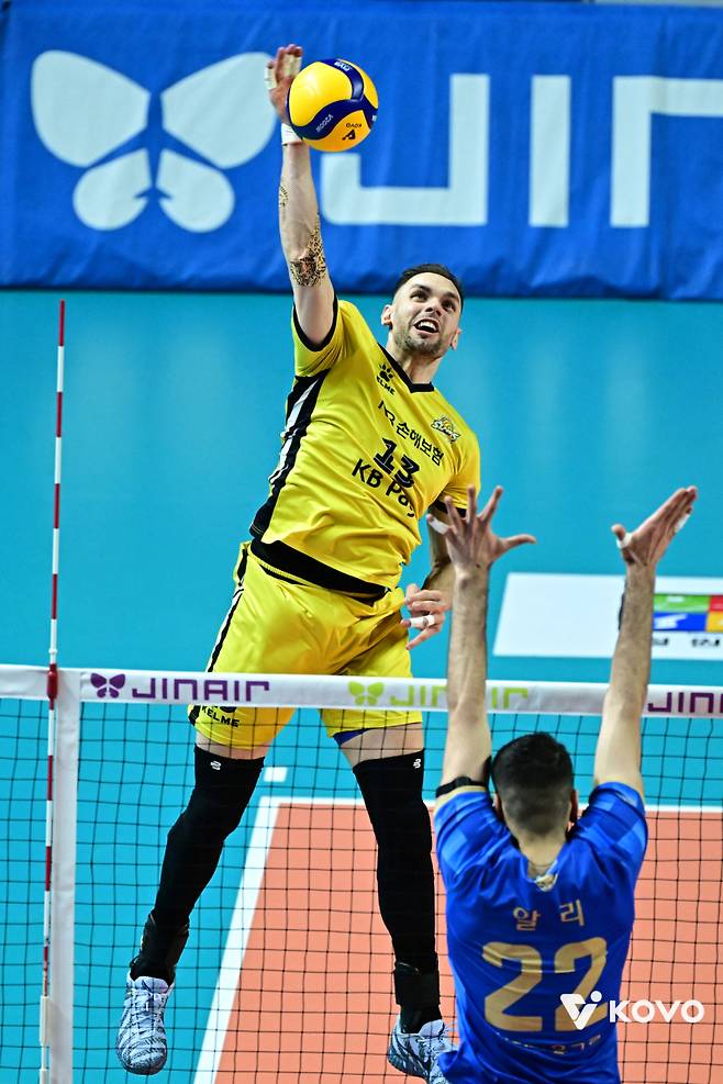 KB손해보험 비예나. KOVO 제공