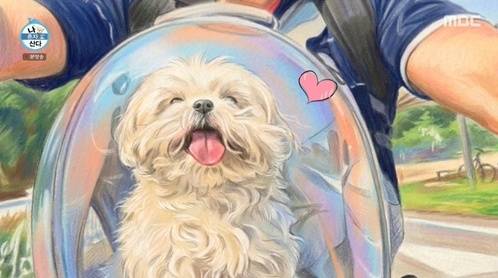 /사진=MBC '나 혼자 산다'