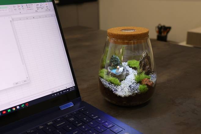 제품 사진. 하이모스 제공