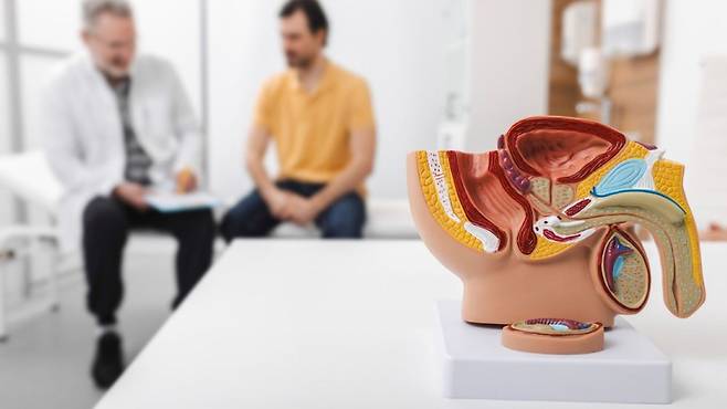 전립선암은 암 진행 단계에 따라 능동적 감시 요법, 로봇 수술을 적용할 수 있다|출처: 클립아트코리아