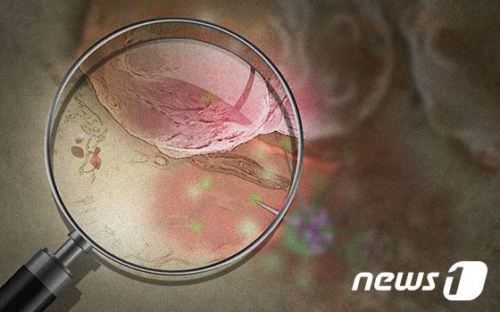 (서울=뉴스1) 강승지 기자 = 최근 아플 때 치료받는 것만큼 질병을 미리 발견, 예방하는 건강검진의 중요성이 강조되고 있다. 건강검진은 당장 불편한 증상이 없더라도 몸속에서 조용히 진행되는 질환이나 위험 요인을 조기에 발견해 치료하거나 생활 습관 개선을 돕는 '2차 예방'의 핵심이다. / 뉴스1 ⓒ News1