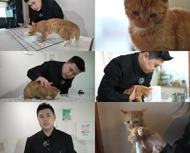 ‘TV동물농장’ 권성준 셰프, 고양이 오마카세 공개 (제공: SBS)