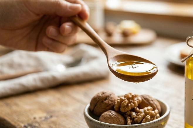 호두는 뇌세포를 보호하는 콜린과 오메가3가 풍부해 치매 예방과 불면증, 건망증 치료에 효과적이다. 구글 생성형 인공지능(AI) ‘제미나이’로 생성한 이미지