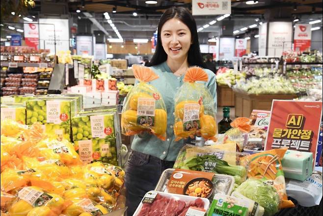 대형마트 휴무일? 이마트·롯데마트·홈플러스·코스트코 ‘봄맞이 할인’ = 이마트·롯데마트·홈플러스·코스트코 등 대형마트가 봄철을 맞아 제철 먹거리와 생필품 중심으로 할인 폭을 확대함으로써 고물가와 경기 침체로 부담이 커진 소비자들을 끌어들이겠다는 의도다. ©사진=홈플러스: 대형마트 휴무일? 이마트·롯데마트·홈플러스‧코스트코 등 마트 휴일, 쉬는날