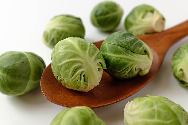 사진=클립아트코리아