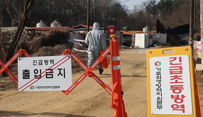 경기 평택시의 한 양돈농장에서 방역당국이 통제 및 방역 작업을 하고 있다. 사진=뉴스1
