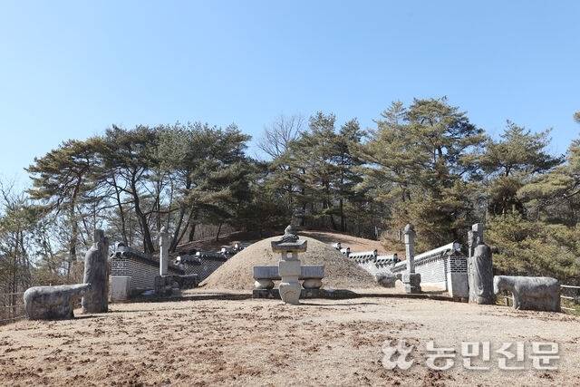 장판옥 옆 언덕에 난 경사로를 따라 오르면 모습을 드러내는 장릉.