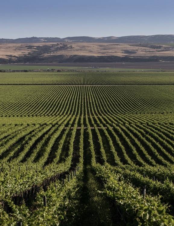 산타 마리아 밸리. 오 봉 클리마 홈페이지.