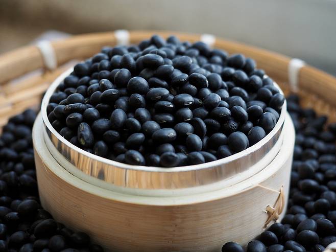 게티이미지뱅크