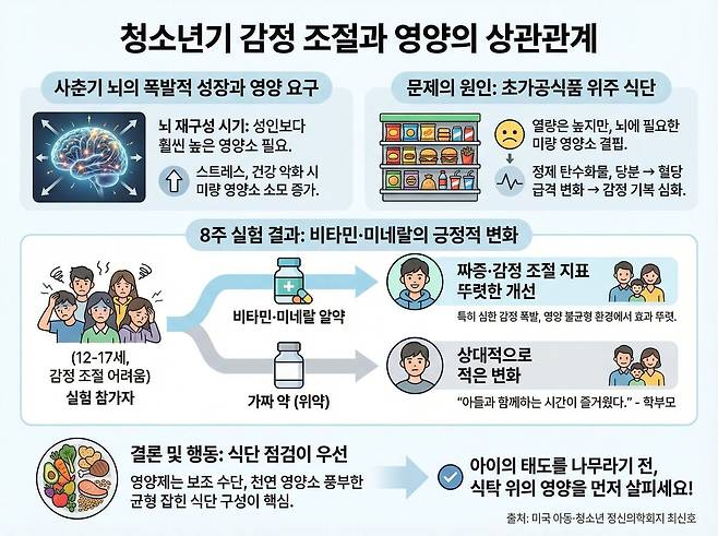 사춘기 뇌 성장을 위한 '연료'가 부족할 때 생기는 일. 제미나이로 생성한 AI인포그래픽.