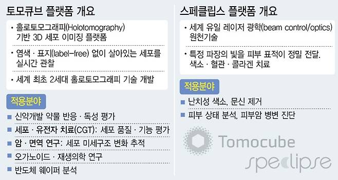 (그래픽=이미나 기자)