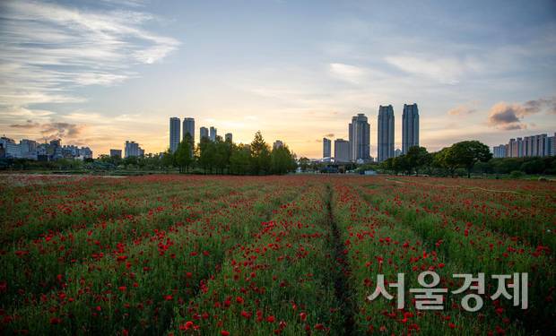 태화강 국가정원을 가득 메운 봄꽃. 사진제공=울산시