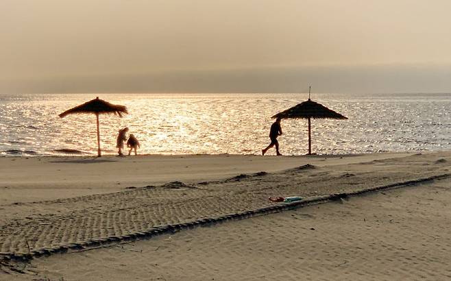 짱뚱어 다리 해변