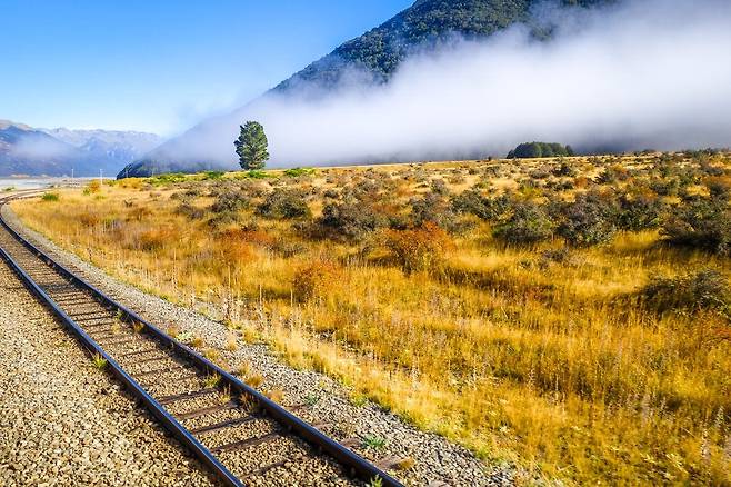친환경 철도 트랜즈알파인 기차.