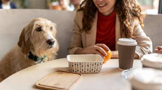 기사이해를 돕기위한 자료사진, 클립아트코리아