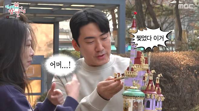 MBC '전지적 참견 시점'