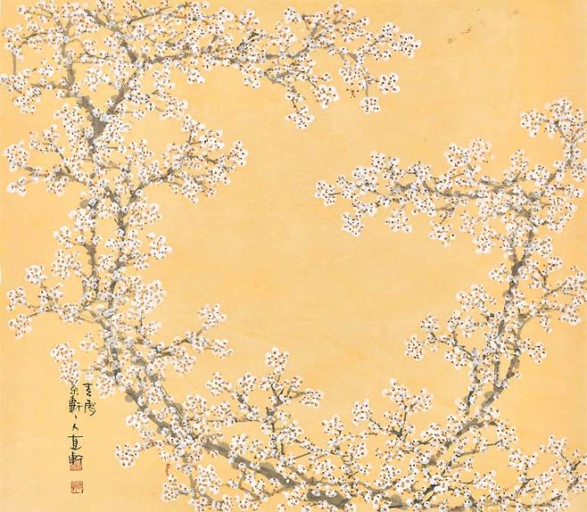 ‘백매(白梅)’