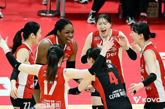 제공 | 한국배구연맹