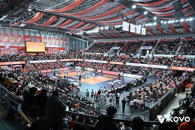 사진 | 한국배구연맹
