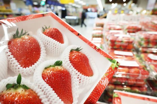 지난달 서울의 한 대형마트에 딸기가 진열돼 있다. 연합뉴스