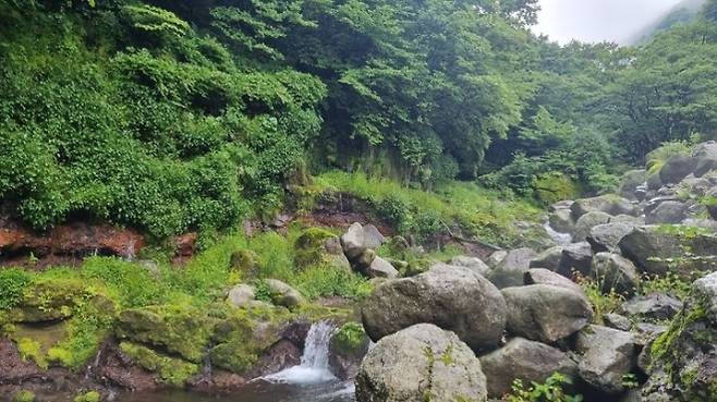 어리목계곡의 모습. 국가유산청 제공