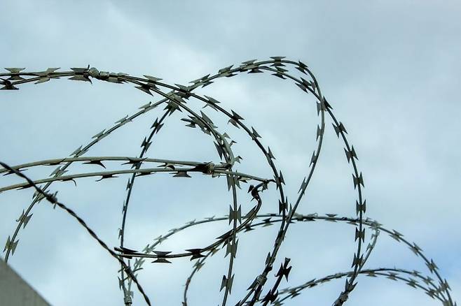 기사 이해를 돕기 위한 사진. 픽사베이