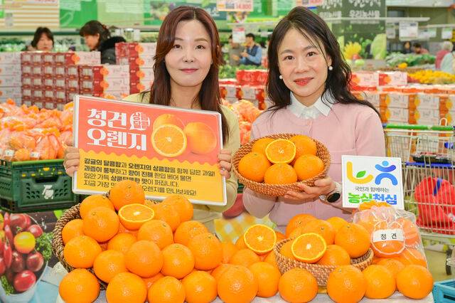 농협유통 하나로마트 서울 양재점 매장 관계자들이 ‘청견’ 오렌지를 소개하고 있다. 농협유통