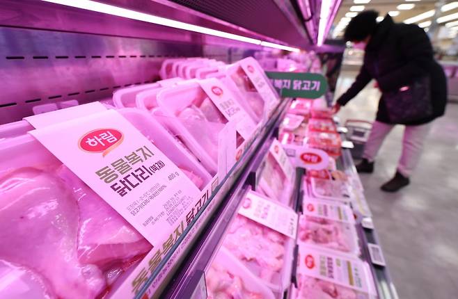 서울의 한 대형마트 매대에 닭고기가 진열돼 있다. 사진=뉴스1
