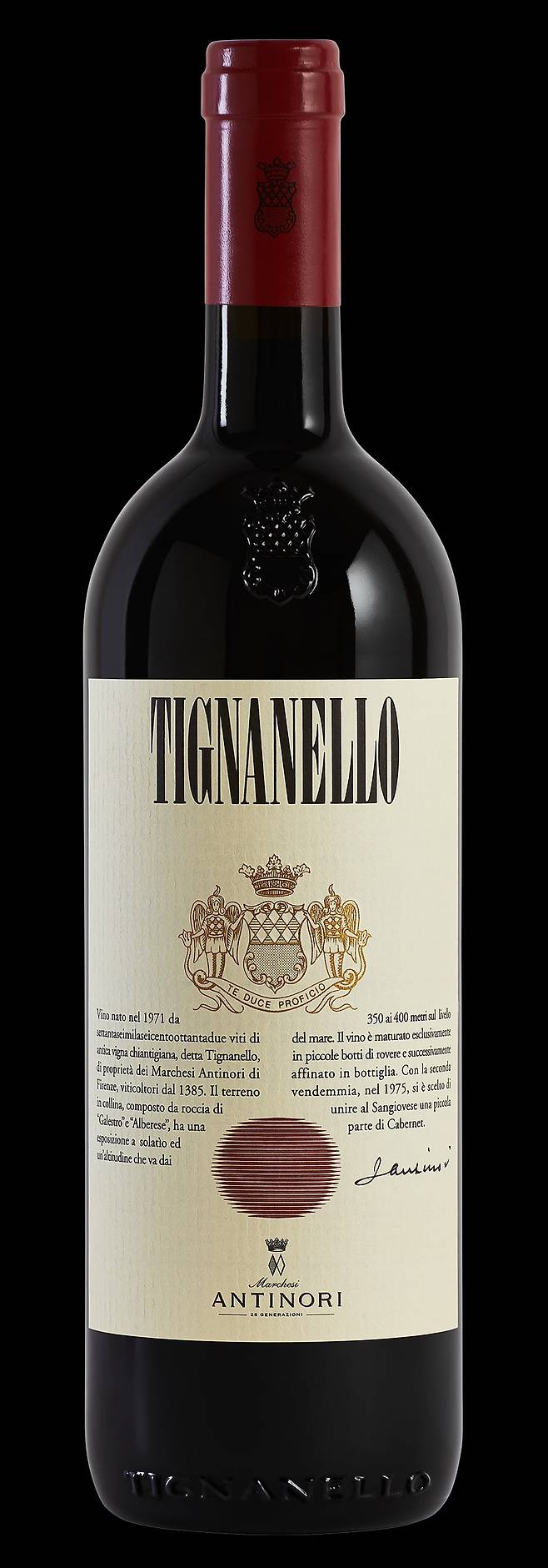 안티노리 티냐넬로. 사진=아영FBC