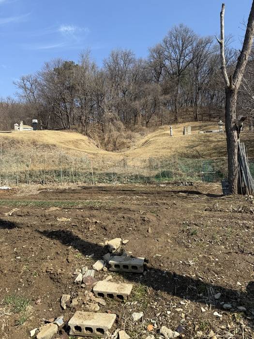 서초구 우면동 여산송씨 묘역추정지. 사진 / 송동마을비상대책위원회 제공