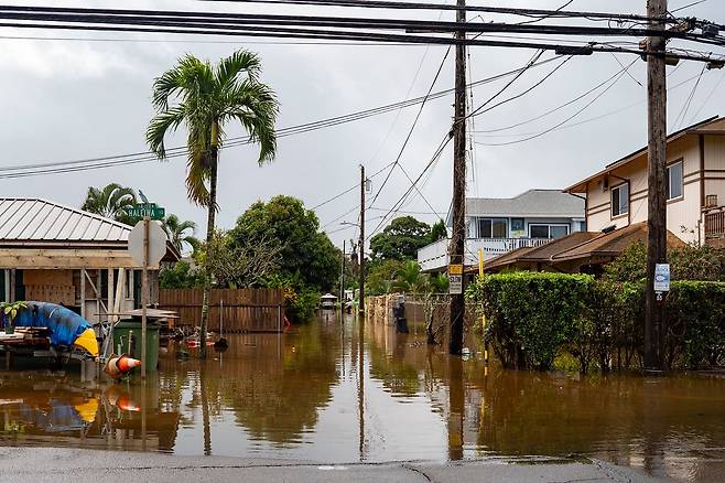 지난 20일(현지시간) 미국 하와이 할레이바지역이 폭우로 도로가 침수돼 있다. AP=연합뉴스