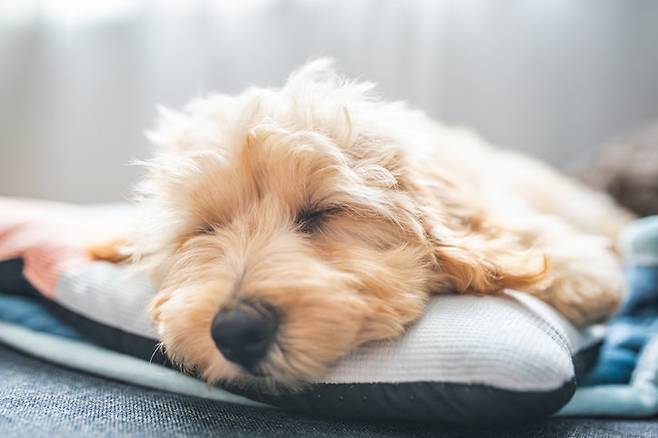 게티이미지뱅크