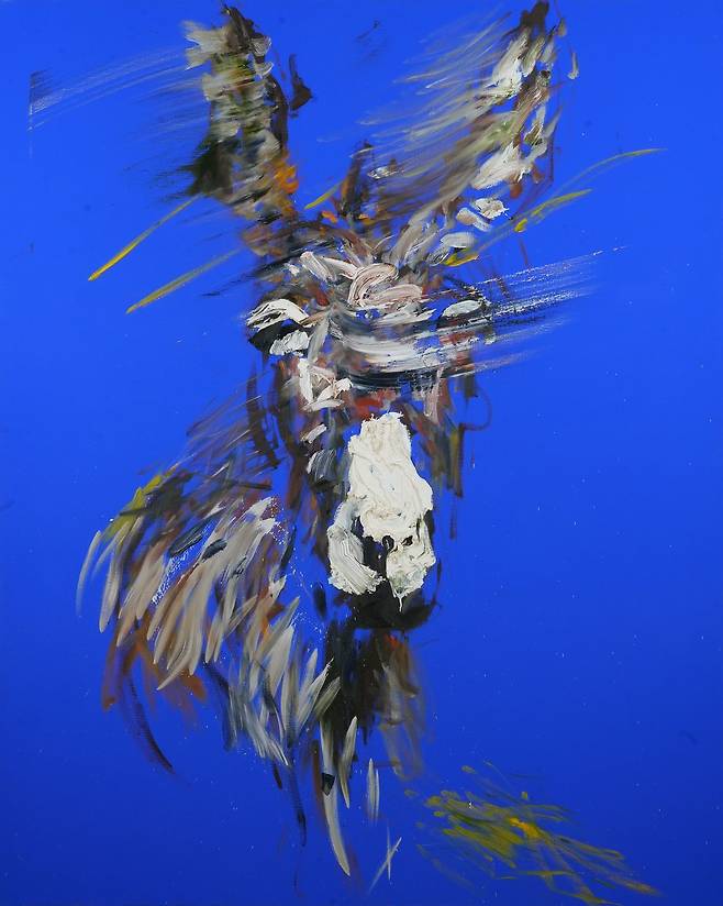 당나귀는 인간과 가까이 살아온 동물이면서도 묵묵히 자신의 역할을 하는 존재라는 박 작가의 ‘당나귀’ 연작은 색과 선, 붓의 움직임을 통해 피사체의 강렬한 에너지를 표현했다.