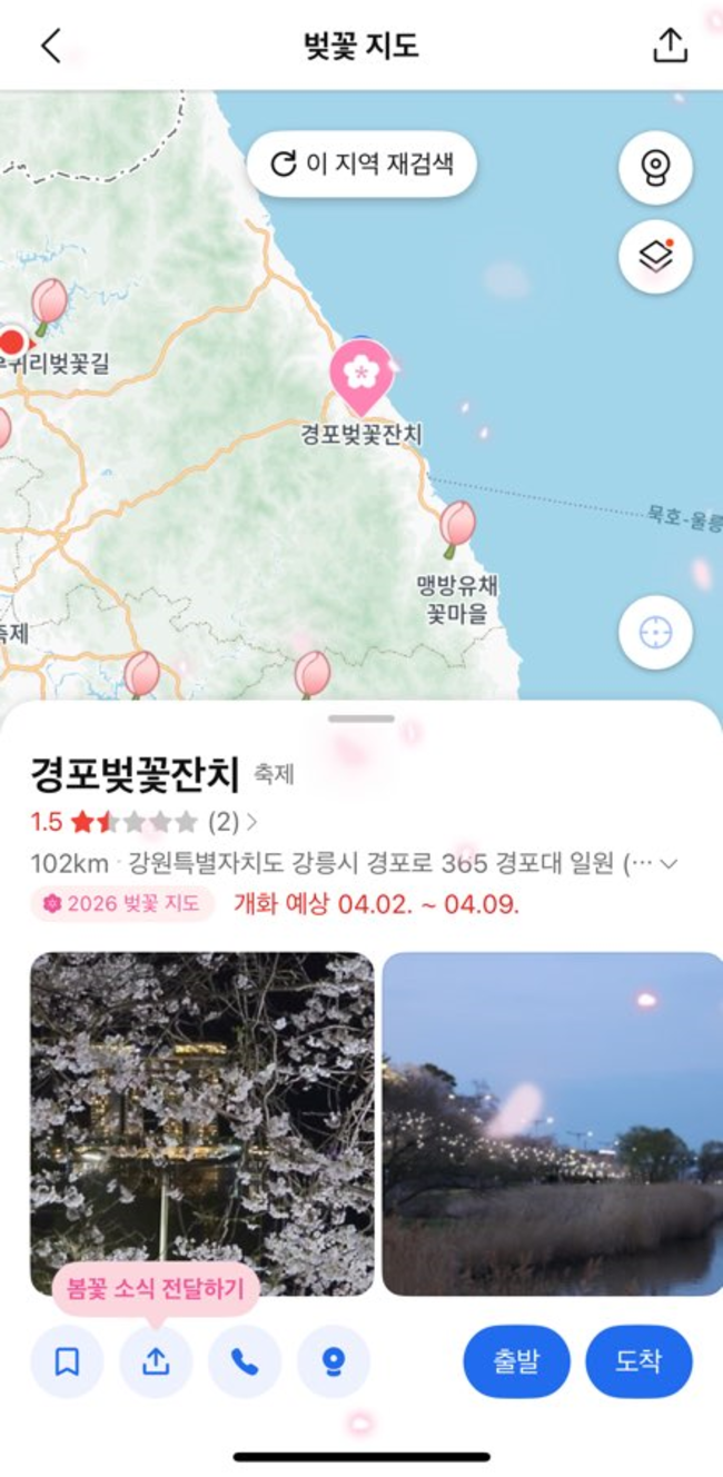 ▲ 카카오맵 벚꽃지도