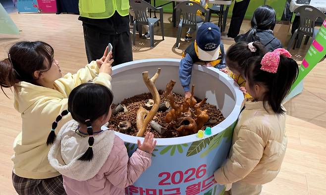 국립중앙과학관이 24일 연 '2026 대한민국 월드리그 곤충·거미'행사에서 어린이들이 곤충들을 살펴보고 있다. 국립중앙과학관 제공