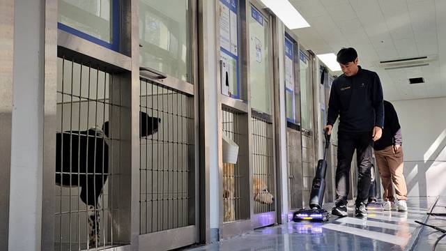 로보락이 작년 11월에는 국채 최대 반려동물 복합공간 반려마루 내 보호동물들의 생활 공간에 스팀 진공 물걸레 청소기 'F25 울트라'를 지원했다. 직원들이 해당 청소기를 사용하고 있다. 로보락 제공